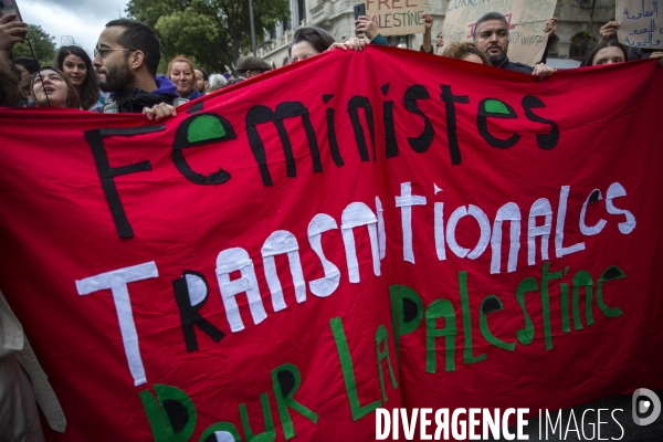 Manifestation pour un cessez le feu à Gaza , Paris.