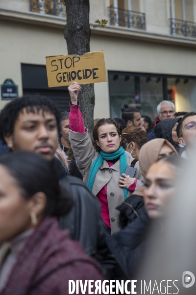 Manifestation pour un cessez le feu à Gaza , Paris.