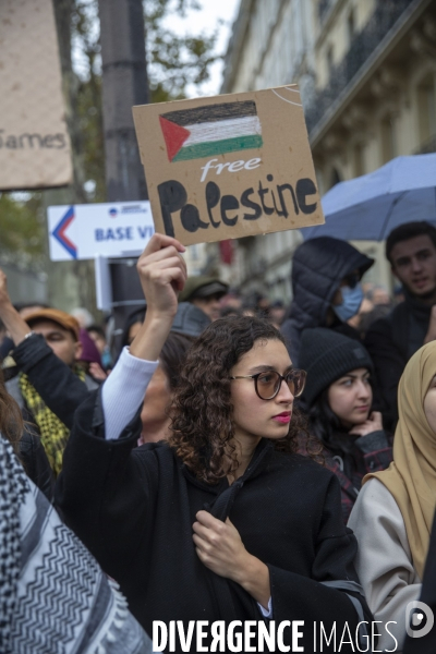 Manifestation pour un cessez le feu à Gaza , Paris.