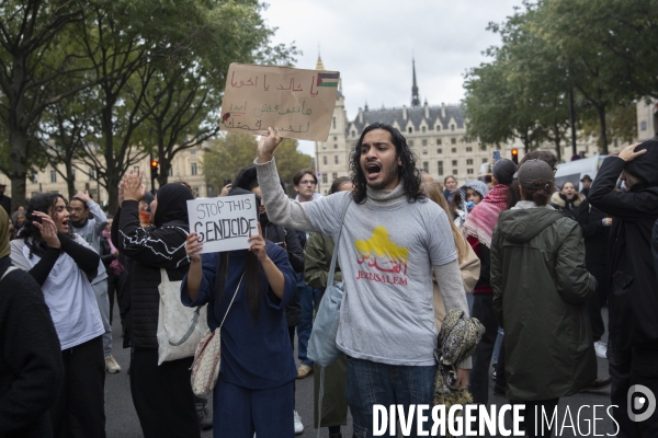 Manifestation pour un cessez le feu à Gaza , Paris.