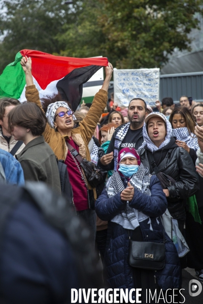 Manifestation pour un cessez le feu à Gaza , Paris.