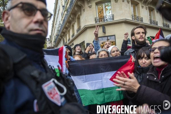 Manifestation pour un cessez le feu à Gaza , Paris.