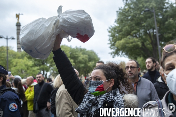 Manifestation pour un cessez le feu à Gaza , Paris.