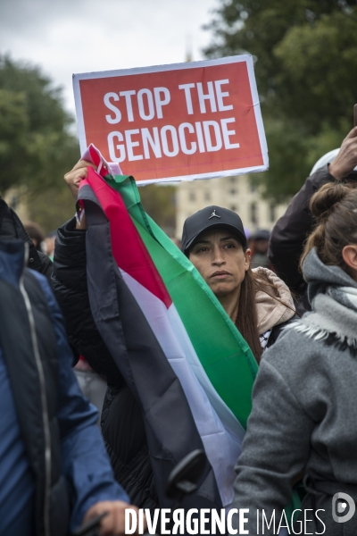 Manifestation pour un cessez le feu à Gaza , Paris.