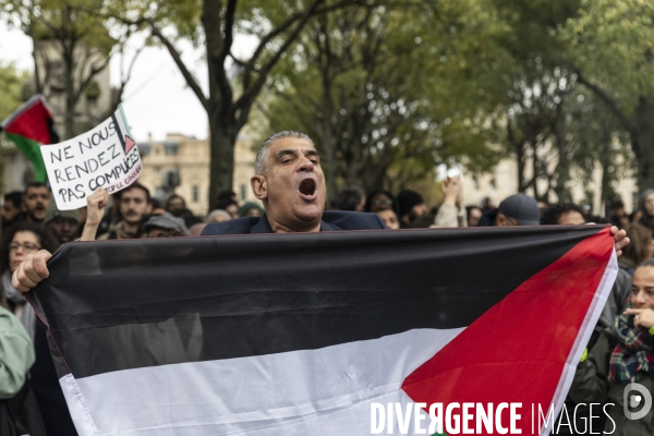 Manifestation en soutien au peuple palestinien et pour un cessez le feu sur la bande de Gaza