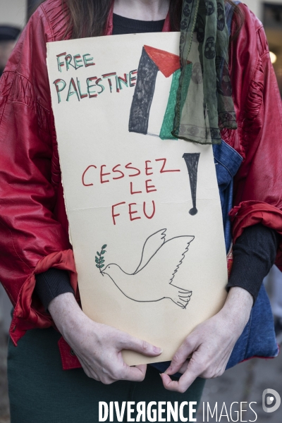 Manifestation en soutien au peuple palestinien et pour un cessez le feu sur la bande de Gaza