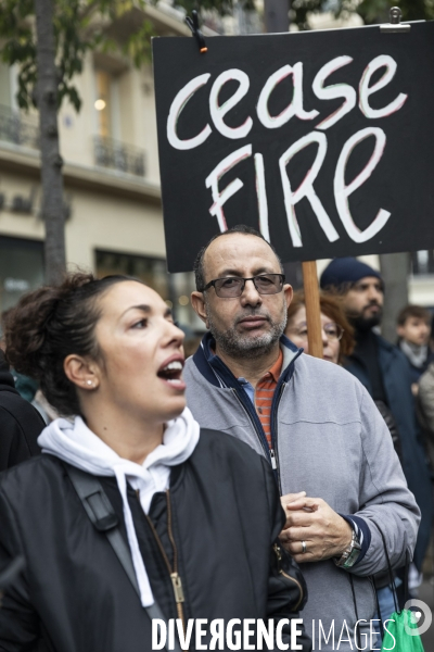 Manifestation en soutien au peuple palestinien et pour un cessez le feu sur la bande de Gaza