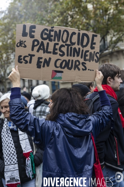 Manifestation en soutien au peuple palestinien et pour un cessez le feu sur la bande de Gaza