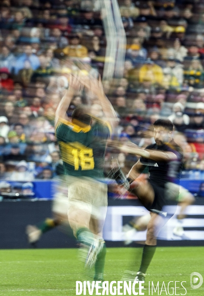 Finale de la coupe du Monde de rugby 2023 Nouvelle-Zélande - Afrique du Sud
