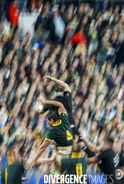 Finale de la coupe du Monde de rugby 2023 Nouvelle-Zlande - Afrique du Sud