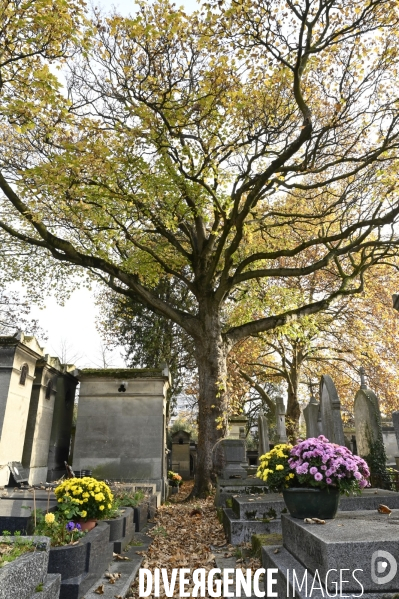 La Toussaint au cimetière du Père Lachaise. Fête des morts et fleurs de la Toussaint. All Saints  Day at the Père Lachaise cemetery.