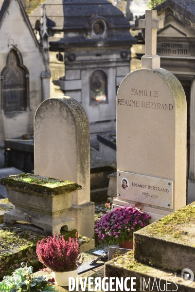 La Toussaint au cimetière du Père Lachaise. Fête des morts et fleurs de la Toussaint. All Saints  Day at the Père Lachaise cemetery.