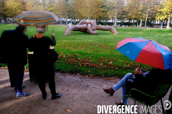 Illustration octobre 2023