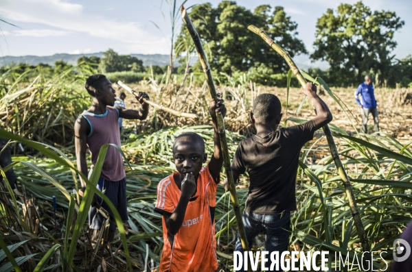 Vaudou a leogane, haiti. 2023