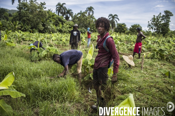 Haiti, region des nippes, 2023