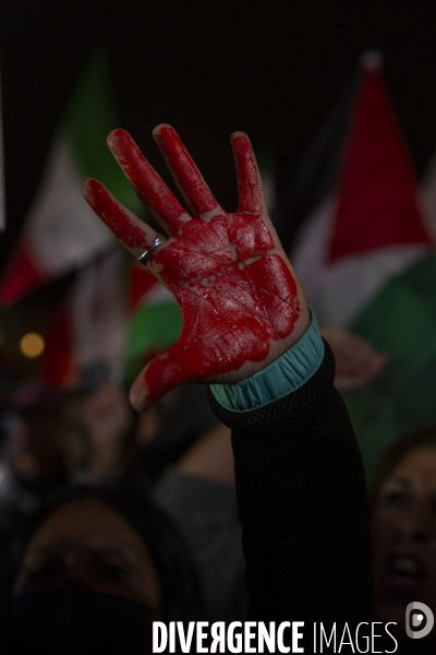 Rassemblement pour un cessez le feu à Gaza