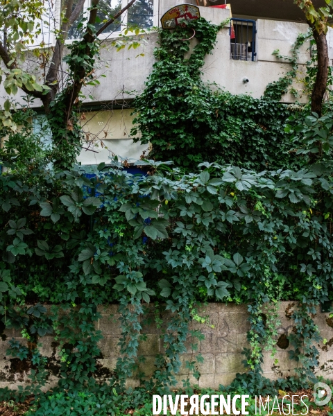 La Maladrerie et Emile Dubois