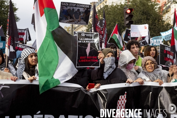 Grande manifestation de soutien à la Palestine