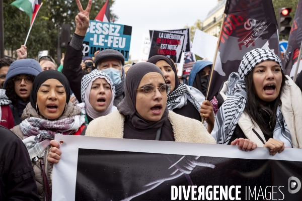 Grande manifestation de soutien à la Palestine