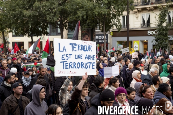 Grande manifestation de soutien à la Palestine