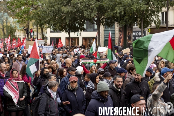 Grande manifestation de soutien à la Palestine