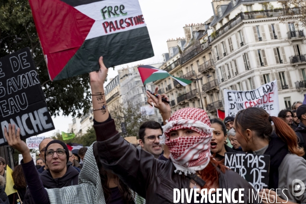 Grande manifestation de soutien à la Palestine