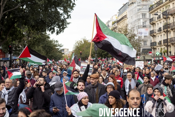 Grande manifestation de soutien à la Palestine