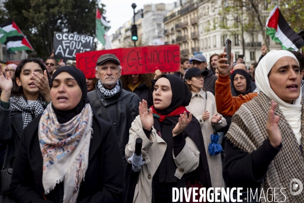 Grande manifestation de soutien à la Palestine