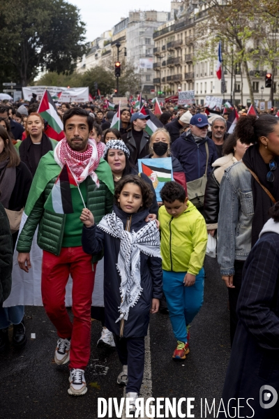 Grande manifestation de soutien à la Palestine