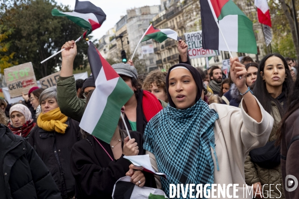 Grande manifestation de soutien à la Palestine