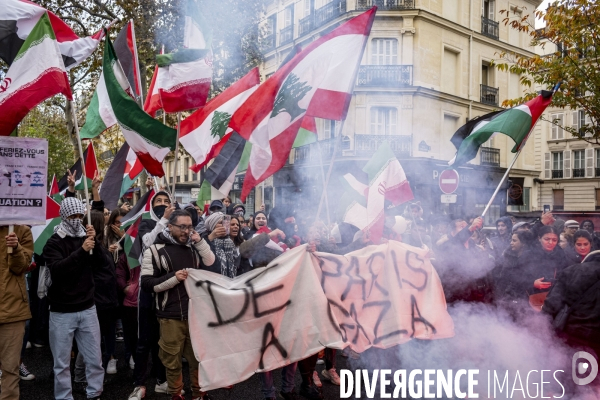 Grande manifestation de soutien à la Palestine