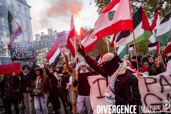 Grande manifestation de soutien à la Palestine