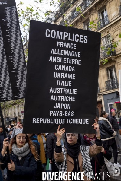Grande manifestation de soutien à la Palestine