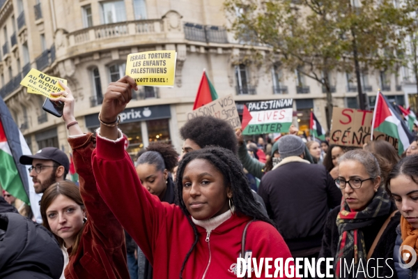 Grande manifestation de soutien à la Palestine