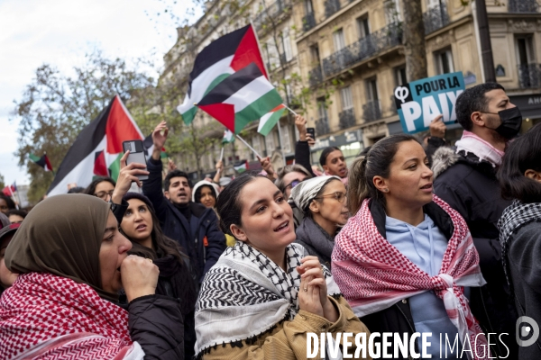 Grande manifestation de soutien à la Palestine