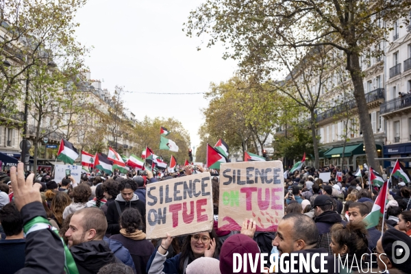 Grande manifestation de soutien à la Palestine
