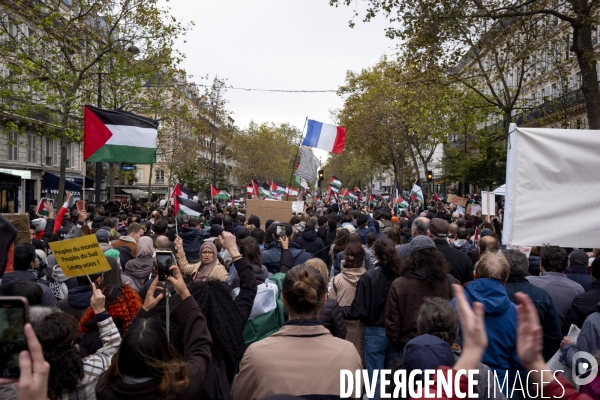 Grande manifestation de soutien à la Palestine