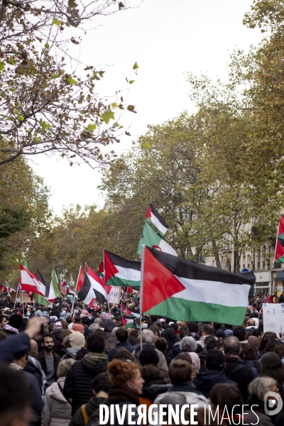 Grande manifestation de soutien à la Palestine
