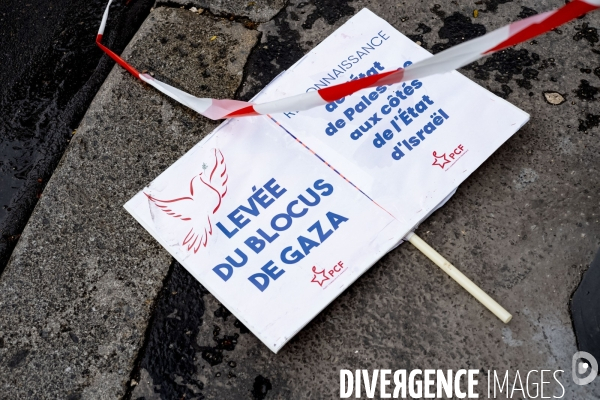 Grande manifestation de soutien à la Palestine