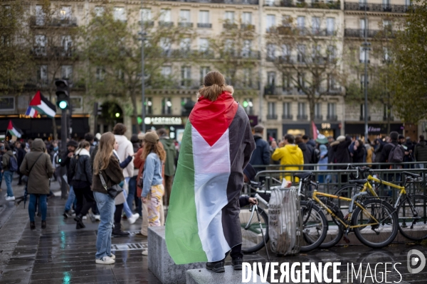 Grande manifestation de soutien à la Palestine