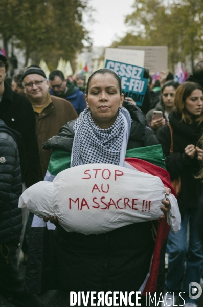 Marche en soutien au peuple palestinien