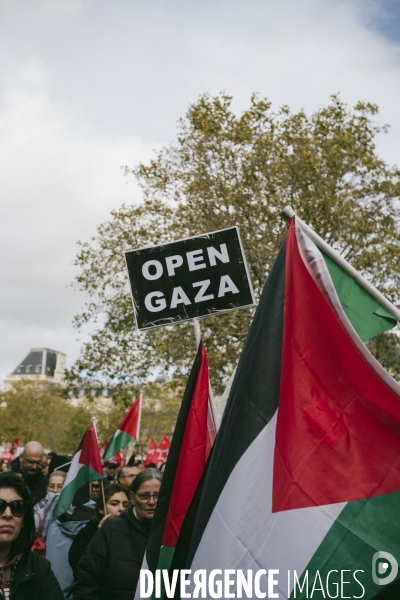Marche en soutien au peuple palestinien