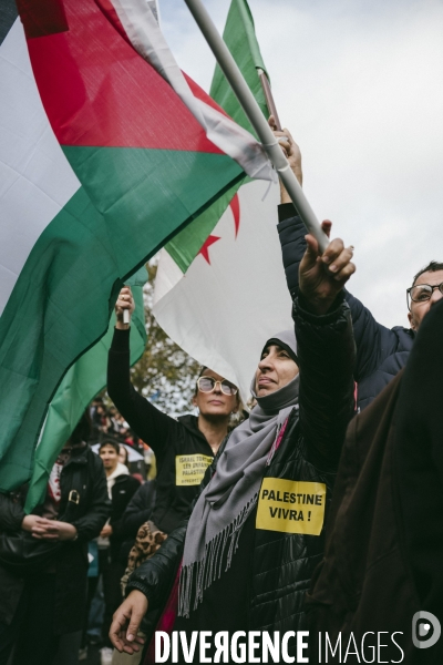 Marche en soutien au peuple palestinien