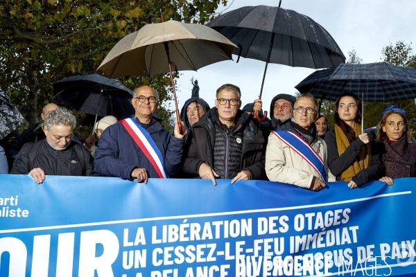 Manifestation pro palestienne pour un cessez le feu