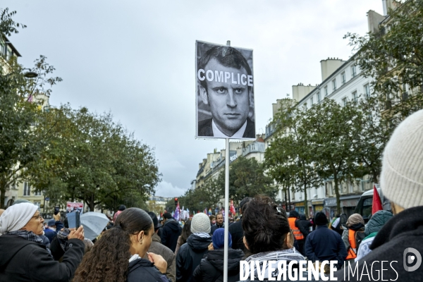 Manifestation pro palestienne pour un cessez le feu