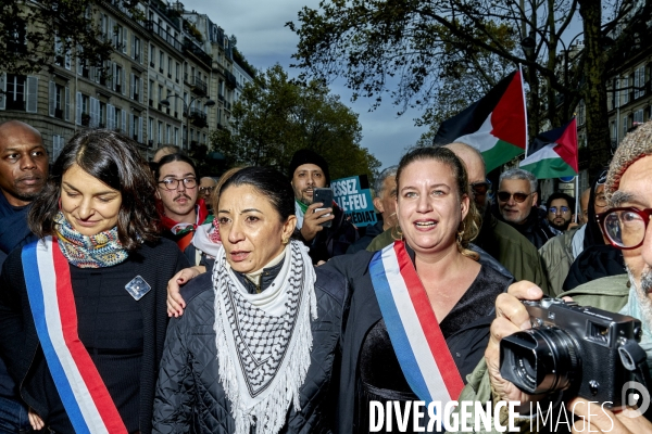 Manifestation pro palestienne pour un cessez le feu