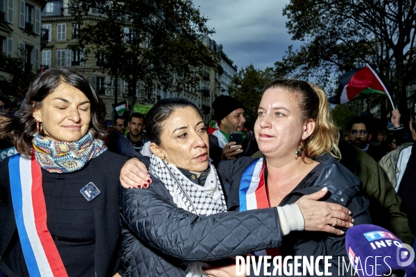 Manifestation pro palestienne pour un cessez le feu