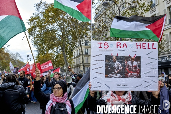 Manifestation pro palestienne pour un cessez le feu