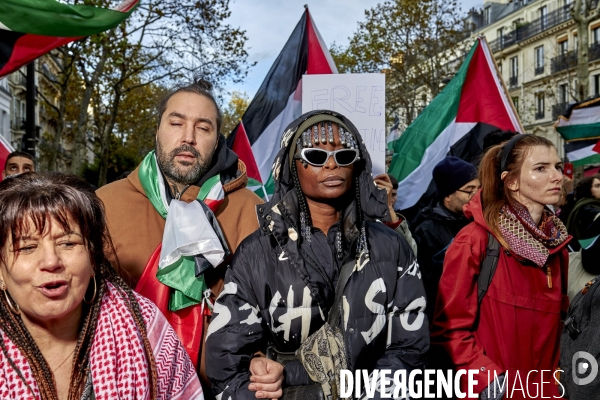 Manifestation pro palestienne pour un cessez le feu
