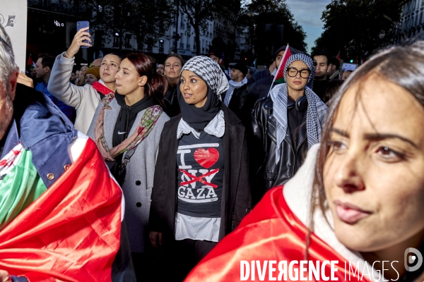 Manifestation pro palestienne pour un cessez le feu